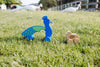 Peacock Big & Little Wooden Roller