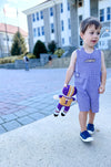 JMU Dukes Embroidered Gingham Jon Jon