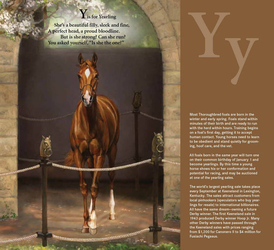 D is for Derby picture book: A Kentucky Derby Alphabet