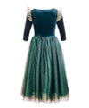 The Brave Princess costume dress