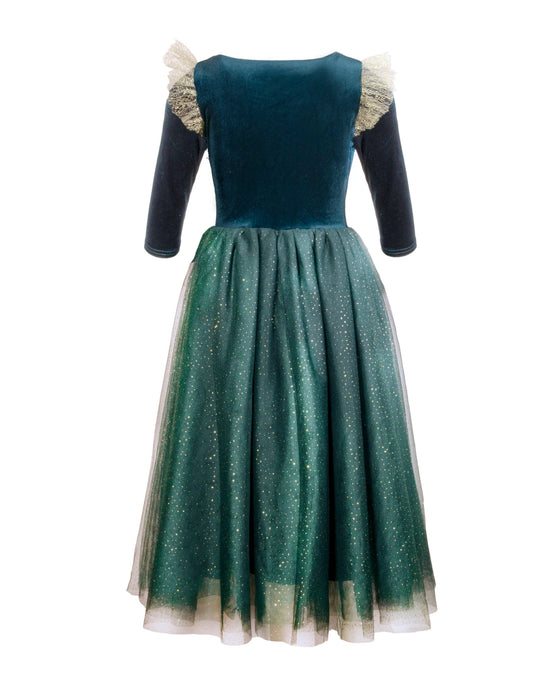 The Brave Princess costume dress