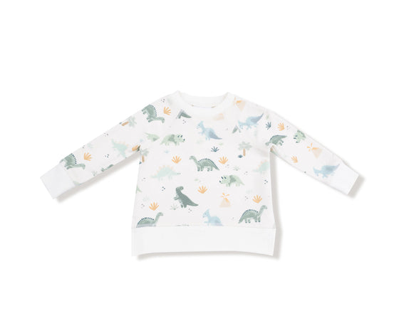 Soft Dinos - Green
Raglan Sweatshirt + Jogger Set