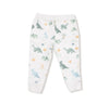 Soft Dinos:  Zip Hoodie and Jogger Set