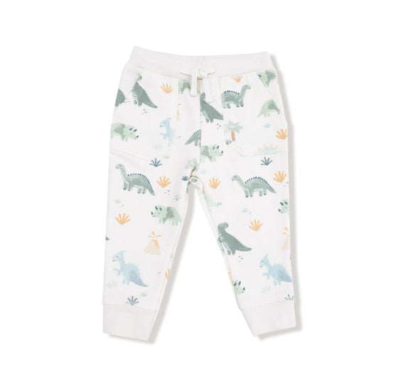 Soft Dinos:  Zip Hoodie and Jogger Set