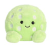 Palm Pal: Steve Pickleball
