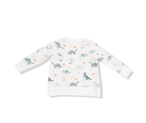 Soft Dinos - Green
Raglan Sweatshirt + Jogger Set