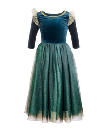  The Brave Princess costume dress