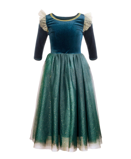 The Brave Princess costume dress