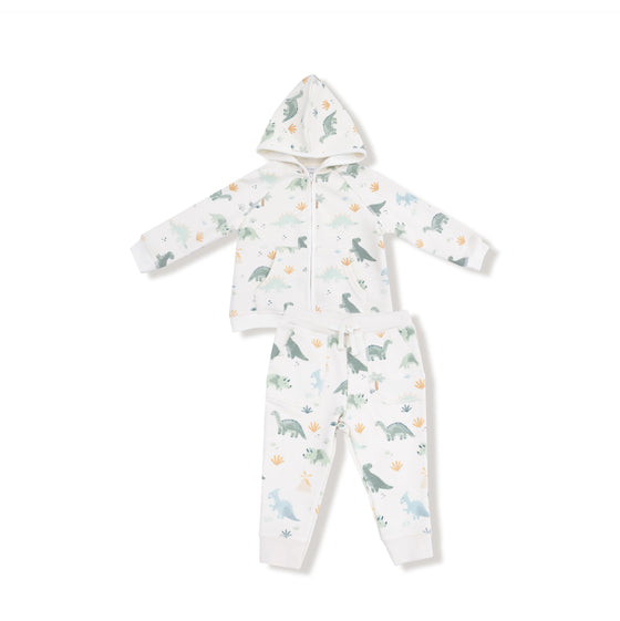 Soft Dinos:  Zip Hoodie and Jogger Set