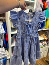 Blue Gingham Ruffle Dress