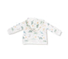 Soft Dinos:  Zip Hoodie and Jogger Set