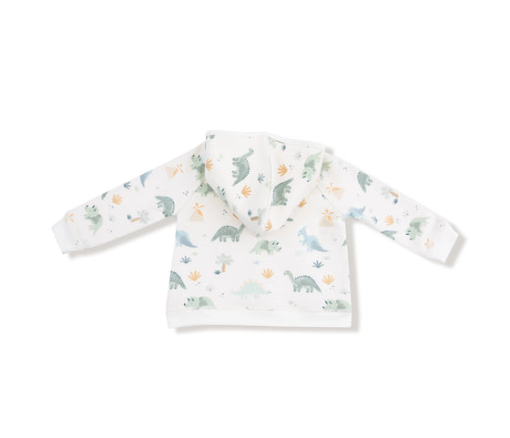 Soft Dinos:  Zip Hoodie and Jogger Set