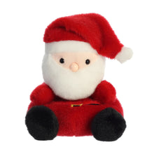  Palm Pal : Santa