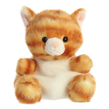  Palm Pal : kitty