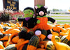 Pumpkin Cat Doll 12in