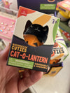 Marshmallow Cuties: Cat-o-lantern