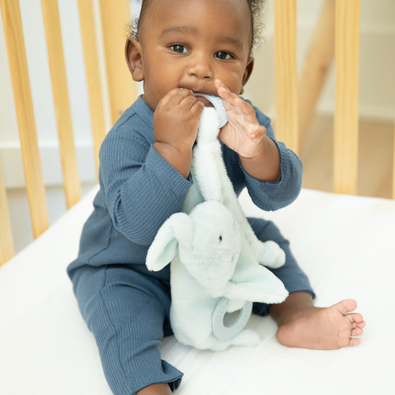 Dog Teether Buddy