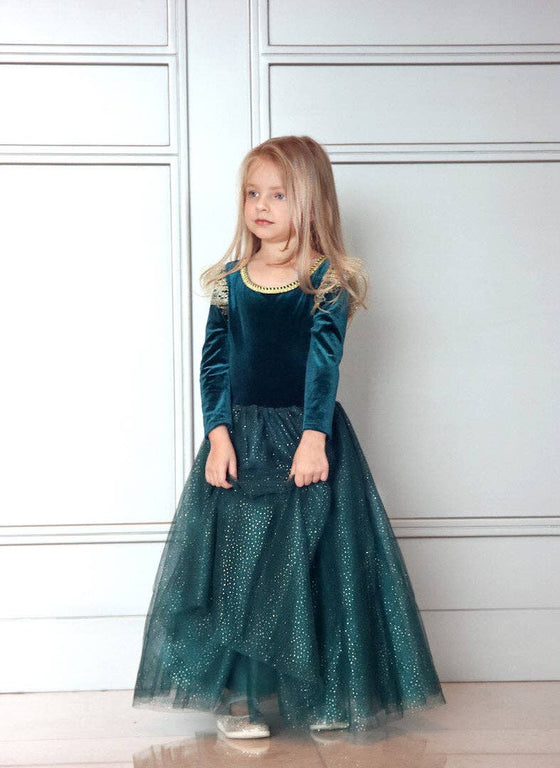 The Brave Princess costume dress