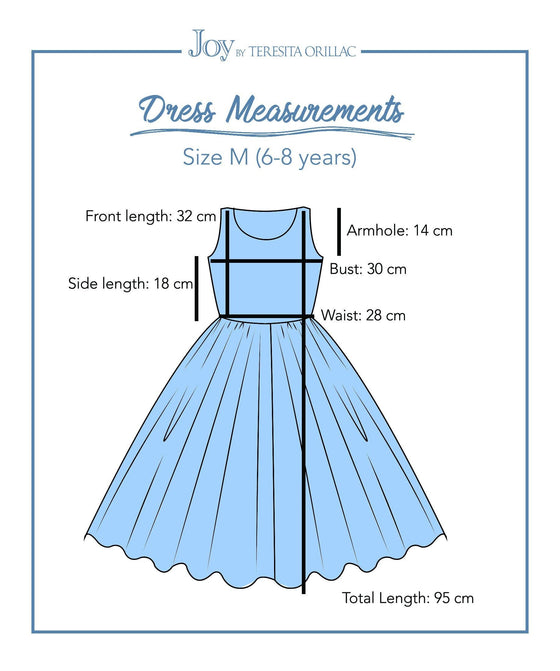 The Brave Princess costume dress