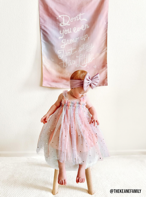 TS Long Live / Never Grow Up Reversible Banner | Fabric Wall: Small 17x13"