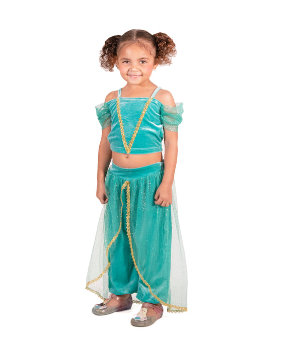 The Arabian Princess Costume